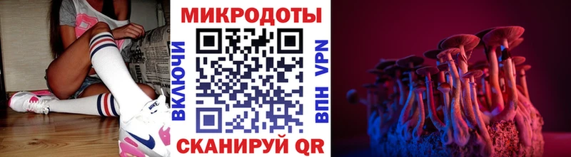 купить   mega ТОР  Галлюциногенные грибы MAGIC MUSHROOMS  Ильский 